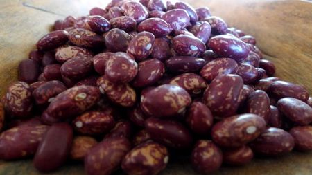 Beans from Ecuador - Rancho Gordo