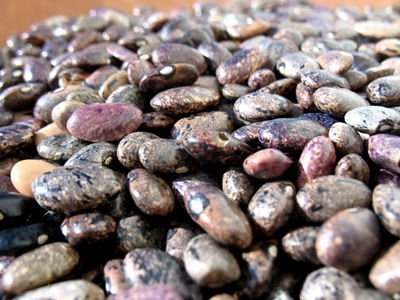 Beans from Hidalgo - Rancho Gordo