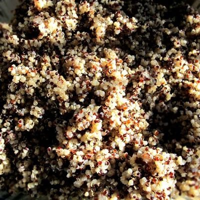 Black and White Quinoa - Rancho Gordo