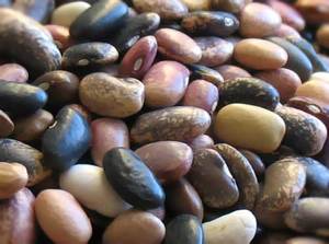 Eating Pebble Beans - Rancho Gordo