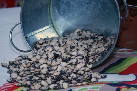 Florida Butter Beans (a.k.a. Calico Pole Beans) - Rancho Gordo