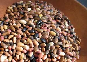 New Heirloom Bean: Pebbles - Rancho Gordo