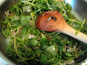 Purslane in the Garden and in the Kitchen - Rancho Gordo