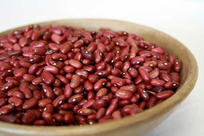 Sangre de Toro (Bull's Blood) Beans - Rancho Gordo