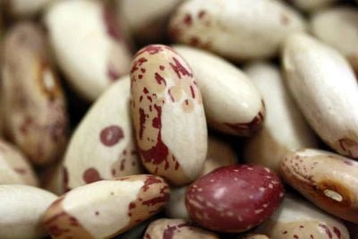 Snowcap Beans - Rancho Gordo