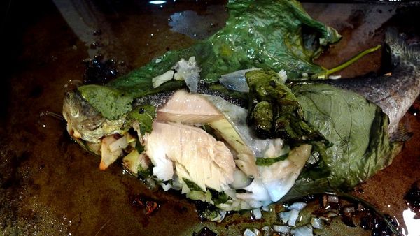 Trout Wrapped in Hierba Santa Leaves - Rancho Gordo