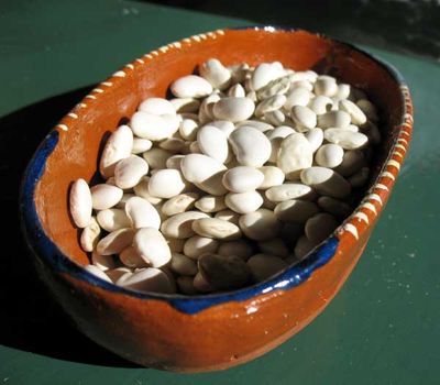 White Beans from Brigit Binns - Rancho Gordo