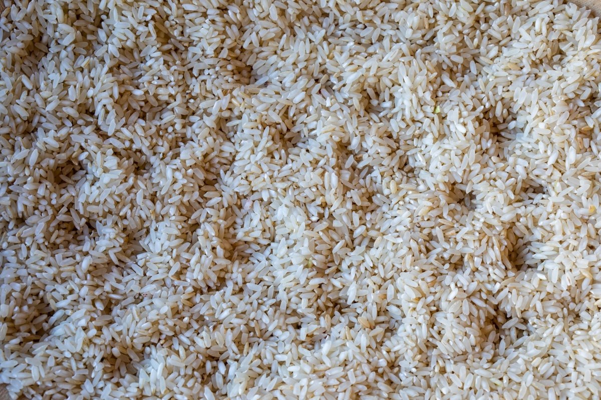 Anson Mills Carolina Gold Rice - Rancho Gordo