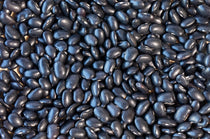 Ayocote Negro Bean - Rancho Gordo