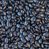 Ayocote Negro Bean - Rancho Gordo