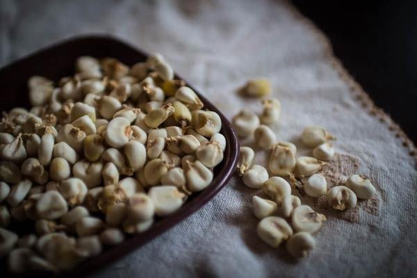 Cacahuazintle Posole/Prepared Hominy - Rancho Gordo