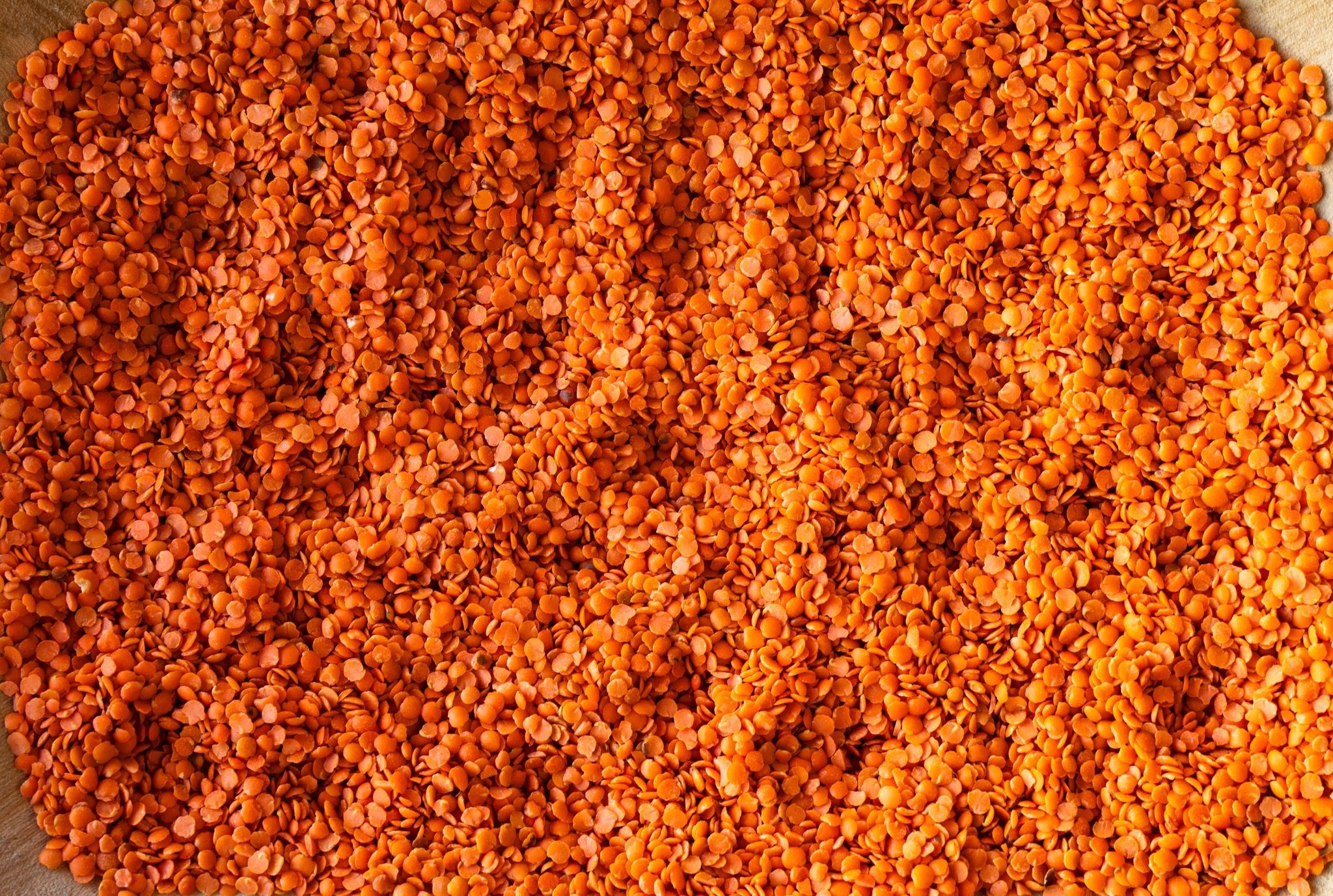 Masoor Dal (Split Red Lentils) - Rancho Gordo