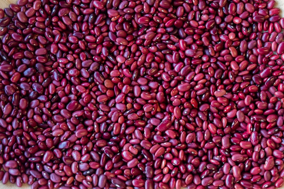 Mayan Red Bean - Rancho Gordo