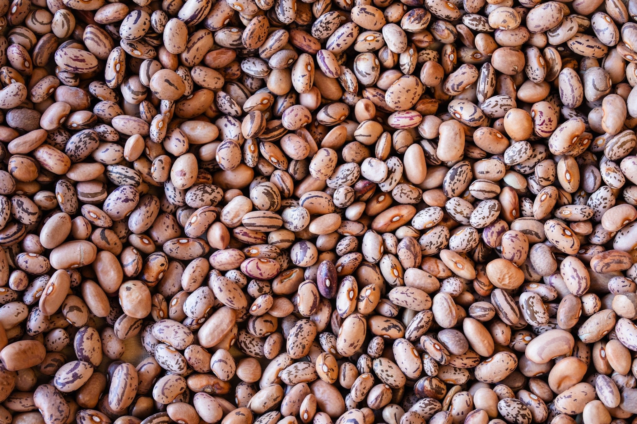 Ojo Pinto Bean Mix - Rancho Gordo