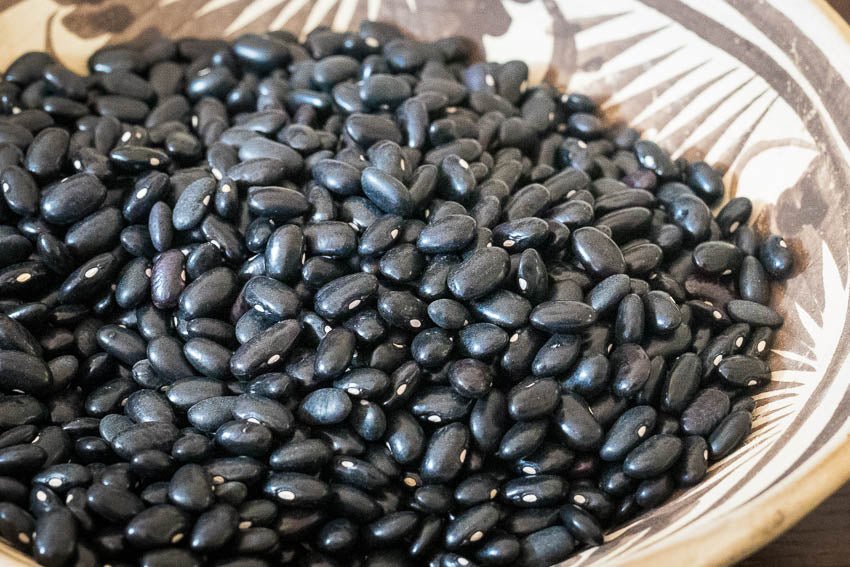 Santanero Negro Delgado Bean - Rancho Gordo