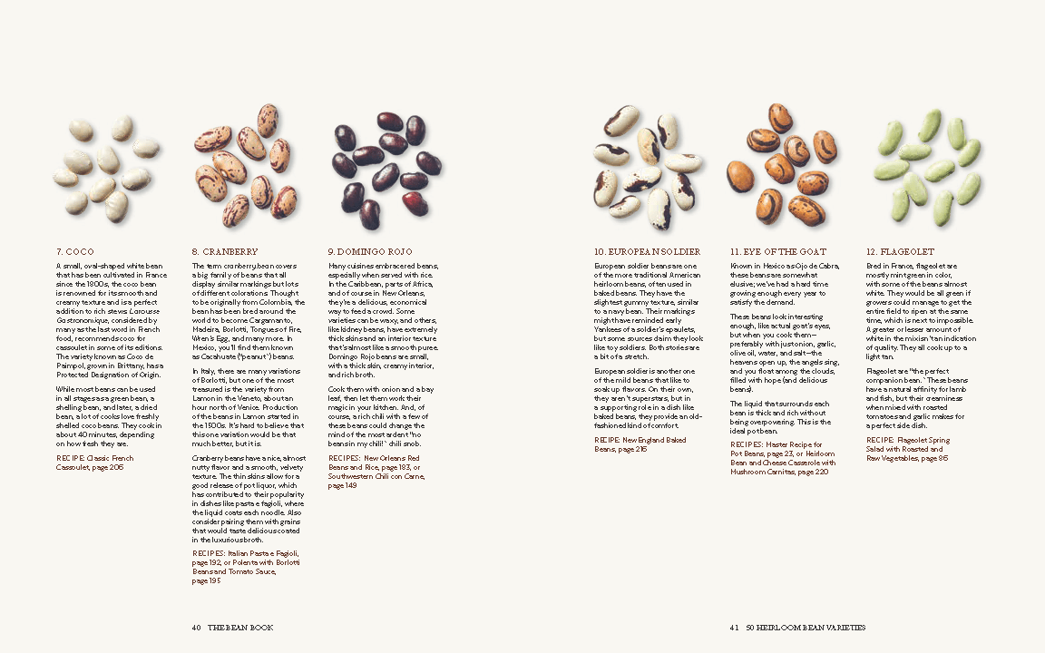 The Bean Book - interior pages